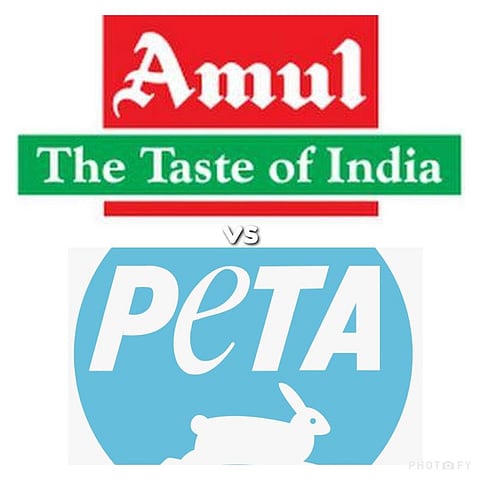 Sanika Kulkarni Says She Was Born With Music