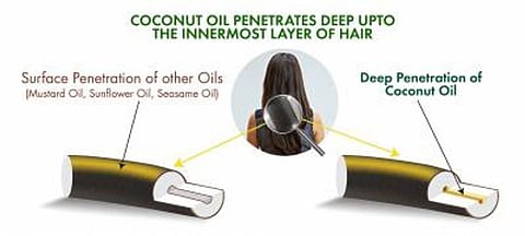 Know Why Starting A Fitness Franchise A Good Investment