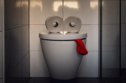 This ‘Smart toilet’ Scans Poop To Detect Health Issues