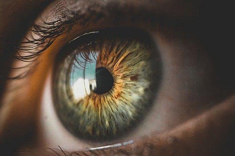Study Shows That Covid-19 Can Infect Eye Cells