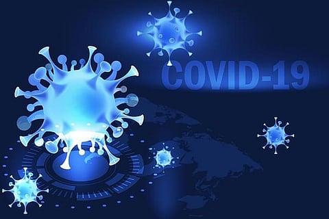 Here’s How Antibodies Effectively Fight Off Covid19
