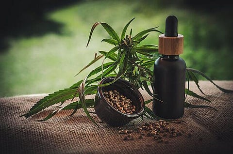 What Effect Does CBD Oil Have On Testosterone Levels?