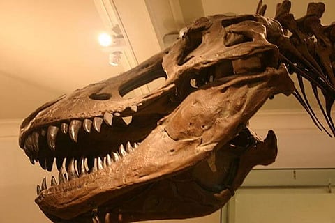 Virtual Reality: Future Of Leadership Skills Like Humans