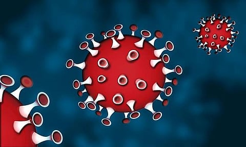 New Covid19 Strains And Precautions To Be Taken