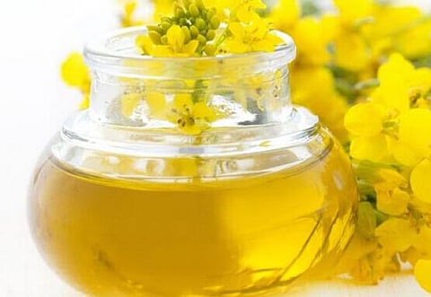 Study: Consumption Of Mustard Oil Likely To Be Healthy For Heart