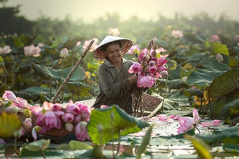 Light Intensity Physical Activity May Protect Mobility In Older Women