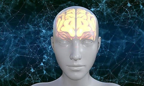 Protective Effect Of A Molecule Against Ischemic Stroke