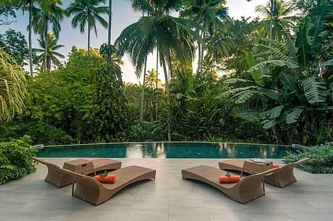 Some Wellness Trends To Shape The Industry In This New Year