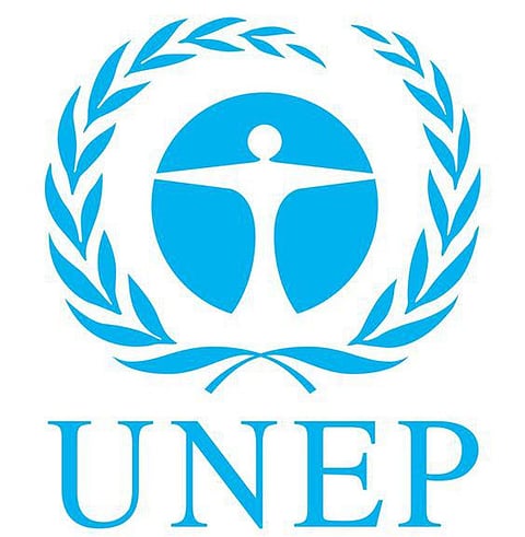As Cimate Change Impact Intensifies, Nations Must Urgently Step Up Actions or Face Costs: UNEP