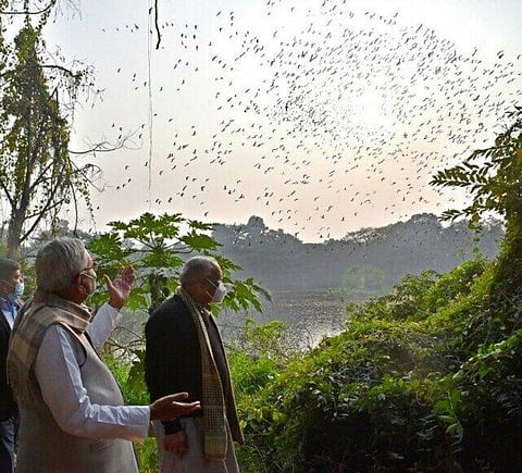 Patna Water Body Attracts Hundreds of Migratory Birds