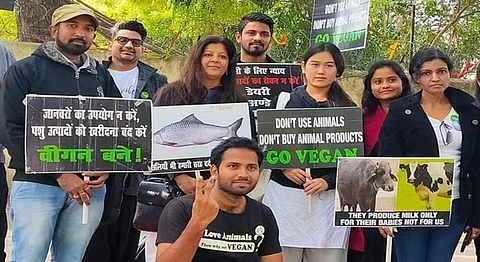 International Animal Rights Day: All Animals Have The Right To Live