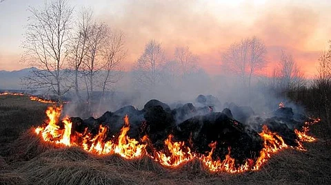 India Needs More Than Laws To Stamp Out Farm Fires