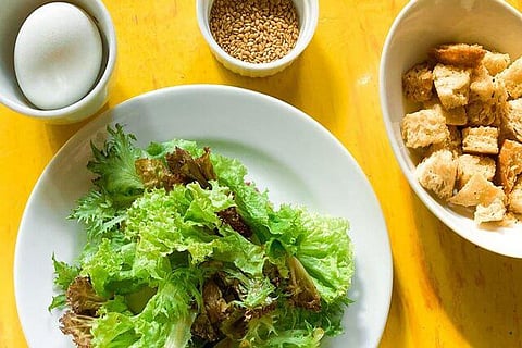 A Plant-Based Diet Improves Cardiometabolic Risk Factors In Overweight Individuals