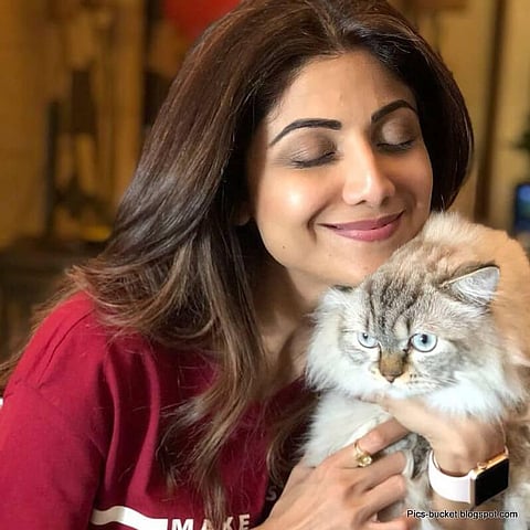 Study: Mars Lost Its Water And Continues To Lose