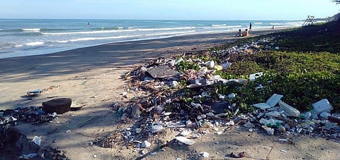 Plastic Pollution Having Impact on Marine Environment