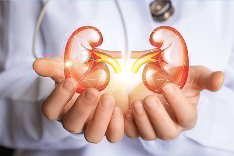 New AI Predicts Risks of Developing Acute Kidney Injury