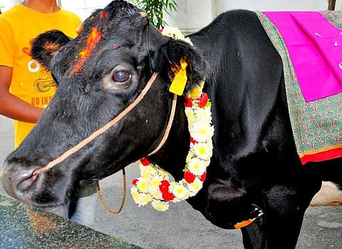 Ashtottaram 21: OṀ GOPŪJĀBHŨMYAI NAMAH