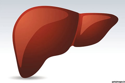 Increased Risks of Death in Patients With Fatty Liver Disease