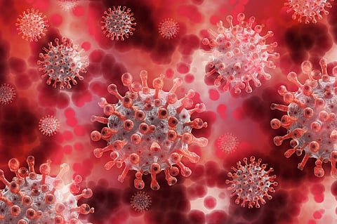 Know if Natural Medicines Can Heal Coronavirus Symptoms