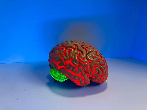 Researchers Develop Neural System Paving the Way for Brain-Machine Interfaces