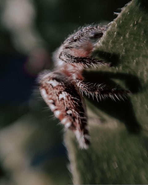 NEP Arrived When India Is Redefining Itself As “Atmanirbhar Bharat”