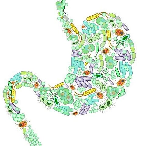 Natural Bacteria, Covid-19 Together May Increase Severity in Obese, Diabetic Patients