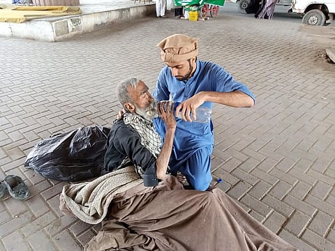 Nature Lovers Demand Natural Policy For Vulture Conservation