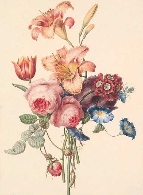 Online Exhibition: Botanical Miniatures go on View