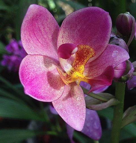 Former Police Officer Wishes Ayushmann, Rajkummar or Vicky to Play Him On Screen