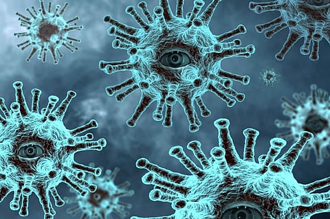 New Virus in China Found With ‘Pandemic Potential’