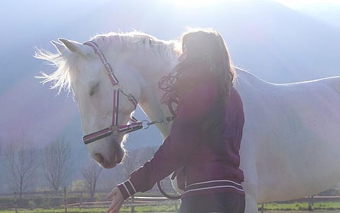 Saturn’s Moon Titan Drifting a Hundred Times Faster Than Expected: Scientists