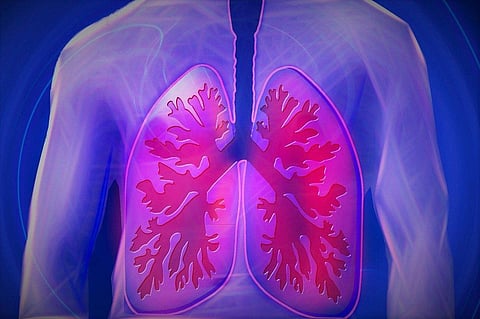 Maintain Healthy Lungs Amid COVID with These Tips