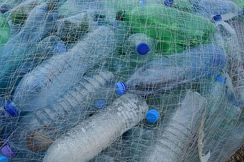Moving Towards a World Without Plastic