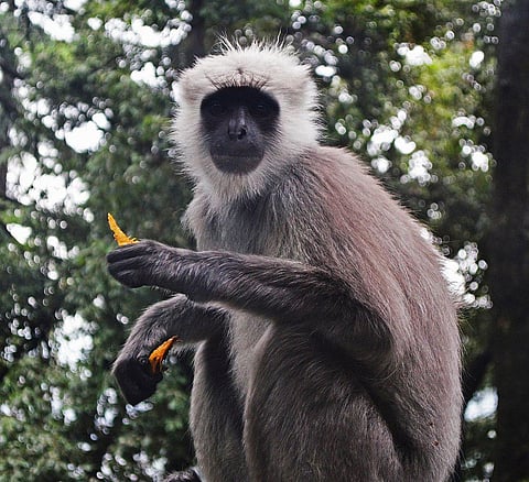 Instagram Introduces Direct Messages for Web Browser