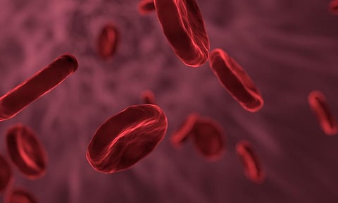 Know About the Importance of Iron in Blood