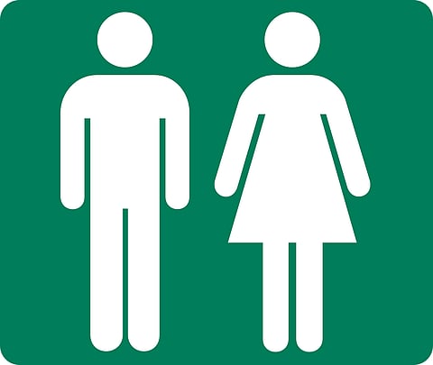 All You Need to Know About Gender Parity