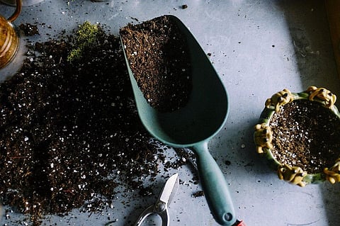 Here’s How Gardening Can Improve Your Health
