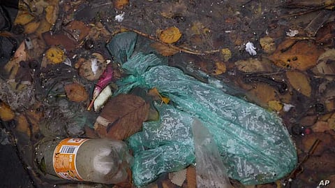 New Strain of Plastic-Eating Bacteria Found