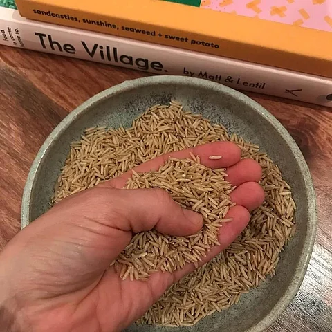 Here’s a List of Essential Items You Should Have at Home