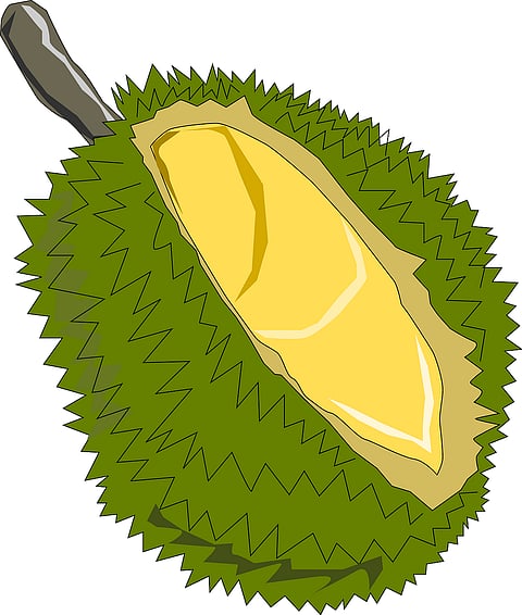 Durian and Jackfruit Waste Can be Used to Create Energy: Study
