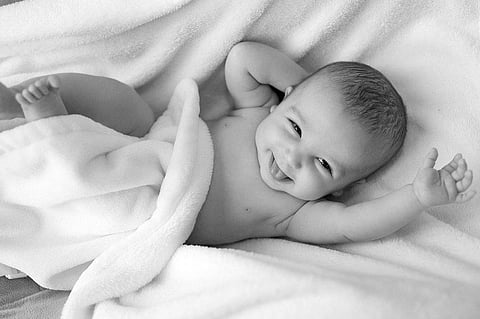 Know About the Importance of Prebiotics