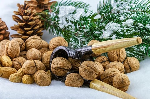 Here’s Why Women Should Consume Walnuts