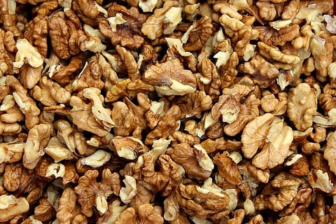 Here’s Why You Should Include Walnuts in Your Diet