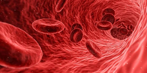 Fat Around Arteries May Help Keep Blood Vessels Healthy: Study