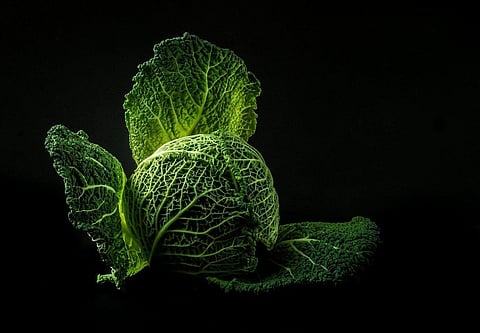 Natural Compound in Cabbage can Help Fight NAFLD