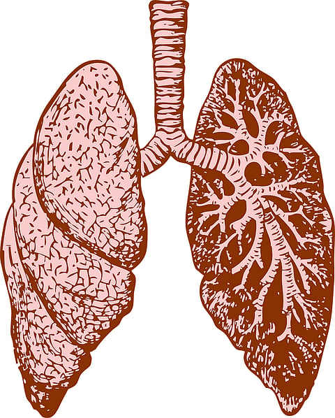 Bariatric Surgery may Help Resolve Respiratory Issues