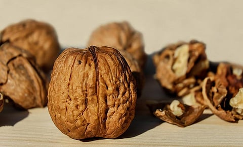 Eating Walnuts May Help Slow Cognitive Decline: Study