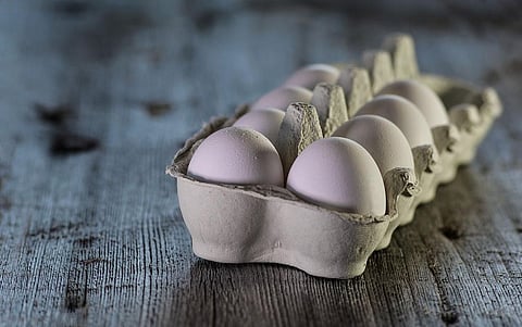 Eating an Egg Not Linked to Heart Diseases: Study