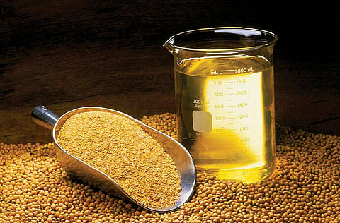 Consumption of Soybean Oil May Affect Neurological Conditions: Study