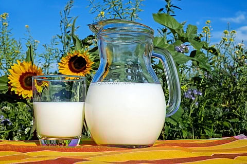 Drinking Low-Fat Milk Can Help Slow Down Biological Aging: Researchers